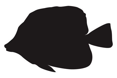 fish silhouette png|Fish Silhouette PNGs for Free Download .